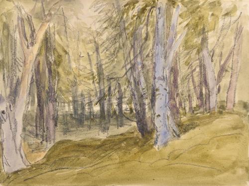 Study of Trees by David Cox (1783-1849)