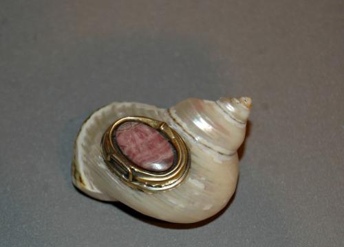 Nautilus Shell Snuff Box