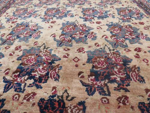 Stylish Afshar rug