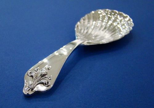 Silver Tea Caddy Spoon