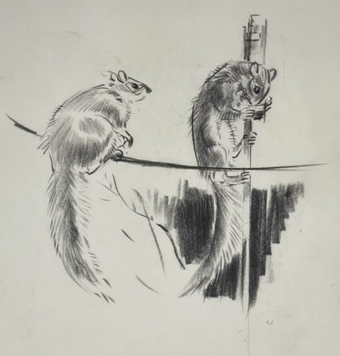 Eileen Soper - Squirrels on a Washing Line & Feeder