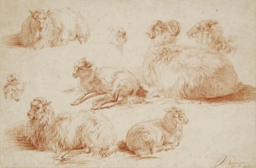 Studies of Sheep by Jan van Ravenswaay
