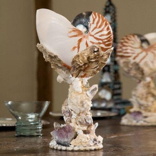Pair of Striped Nautilus Shell Cups