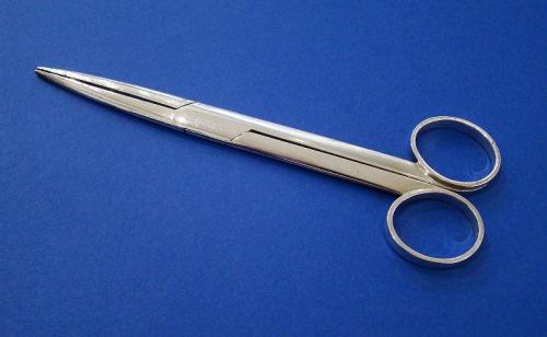 French Silver Surgeon's Forceps