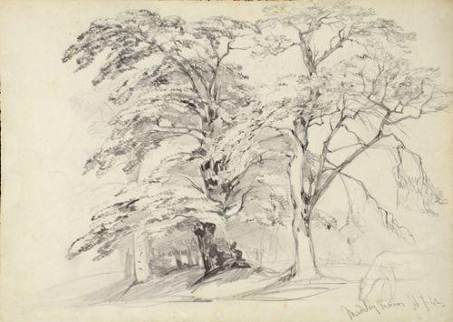 Trees at Madeley Manor, Staffordshire, William Callow RWS