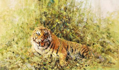 David Shepherd CBE, FRSA, FGRA (British 1931-2017) Tiger