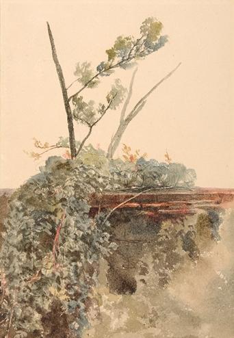 Study of Ivy on a Wall, Peter de Wint