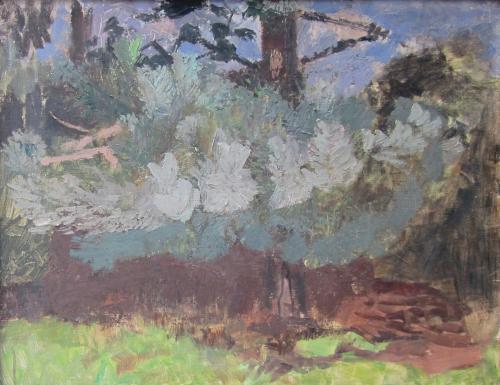 The Pine, Mary Potter (1900-1981)