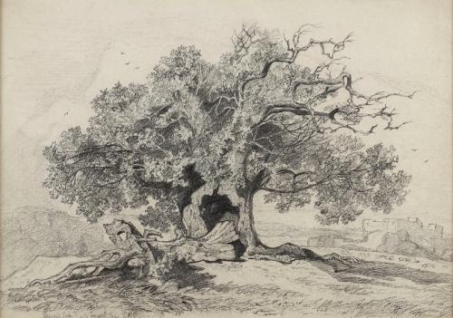A mature oak tree near a castle, Miles Edmund Cotman (1810-1858)