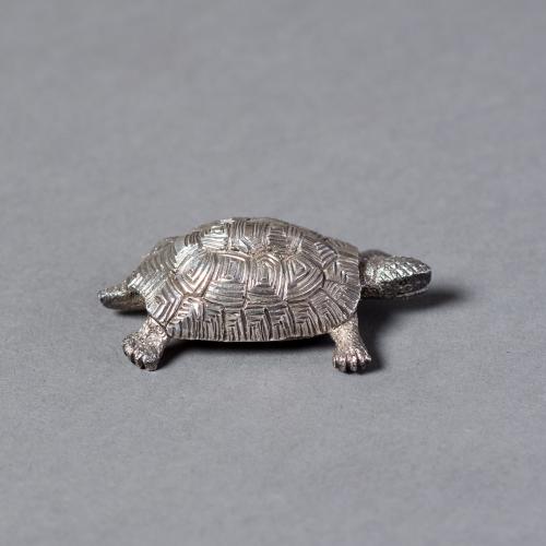 Silver Tortoise