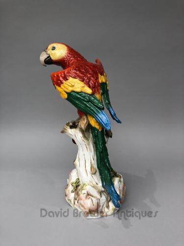 German Meissen porcelain Macaw