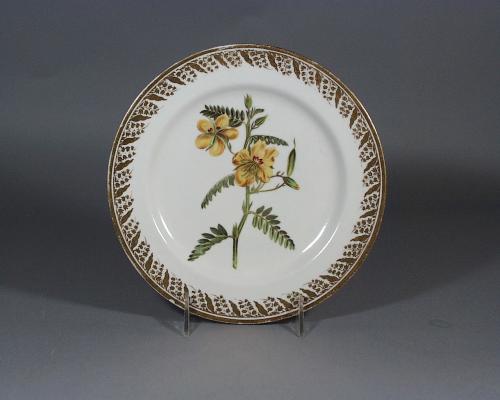 Derby Porcelain Plate decorated with a Botanical Specimen, Dwarf Cafsia, Painted by John Brewer, Circa 1796-1801