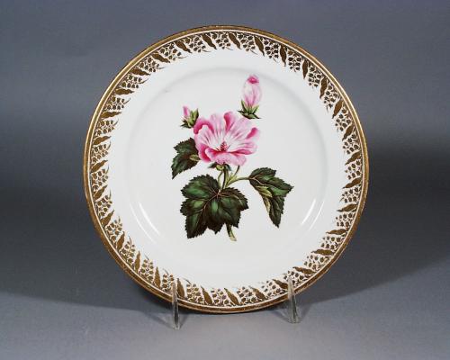 Antique Derby Porcelain Plate decorated with a Botanical Specimen, Annual Levatera, Painted by John Brewer