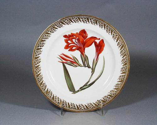 Antique Derby Porcelain Plate decorated with a Botanical Specimen, Scarlet Glycine by John Brewer