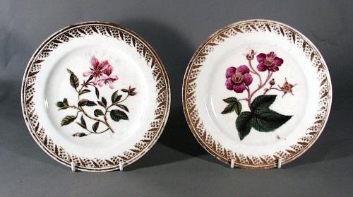 Pair of Derby Porcelain Botanical Plates, Circa 1795-1805, Pattern #115