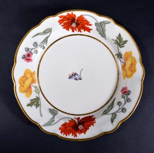 Flight & Barr Worcester Botanical Porcelain Plate, Circa 1792-1800