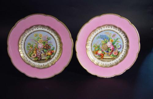 Antique Porcelain Pair of Pink-ground Botanical Plates, Minton or Coalport, Circa 1850