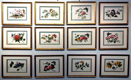 China Trade Botanical Studies with Insects, by Youqua Painter Old Street No. 34, Set of Twelve Circa 1840-50