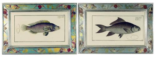 Engravings of Fish by Marcus Bloch, A Pair, Circa 1780