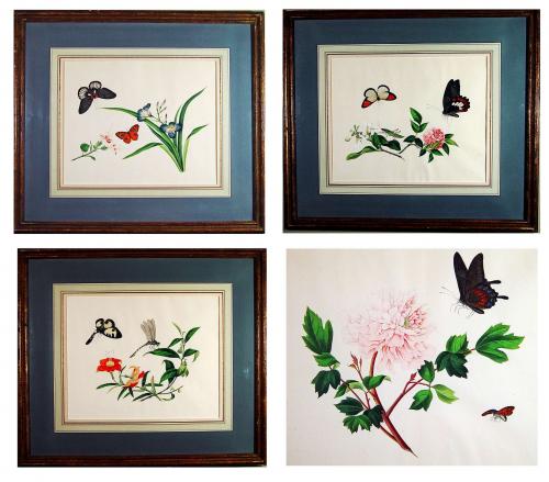 China Trade Botanical Watercolours on Paper, Set of Four Early 19th Century