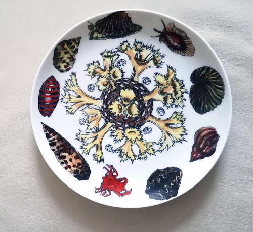 Vintage Piero Fornasetti Porcelain Plate, Decorated With Sea Anemones, Urchins & Shells, #7 from Conchiglie Pattern, Circa 1960-70's