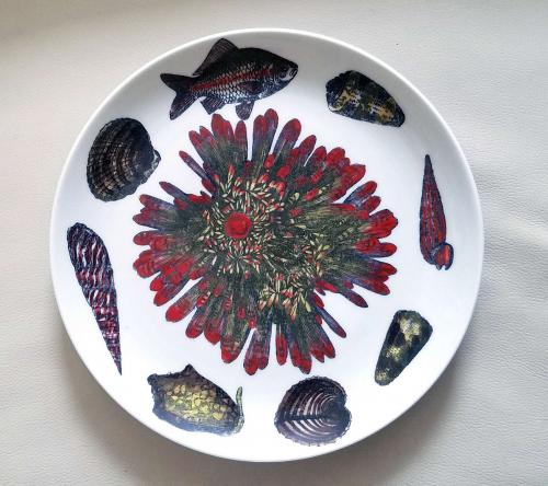Vintage Piero Fornasetti Porcelain Plate, Decorated With Sea Anemones, Urchins & Shells, #12 from Conchiglie Pattern, Circa 1960-70's