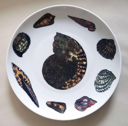 Vintage Piero Fornasetti Porcelain Plate, Decorated With Sea Anemones, Urchins & Shells, #11 from Conchiglie Pattern, Circa 1960-70's