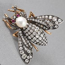 Victorian fly brooch