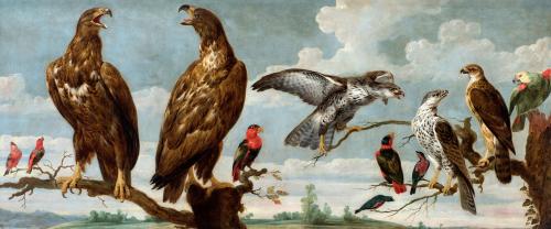 Paul de Vos, Birds of Prey, Parrots and Songbirds