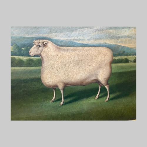 19th century portrait of a pedigree ram standing in a landscape