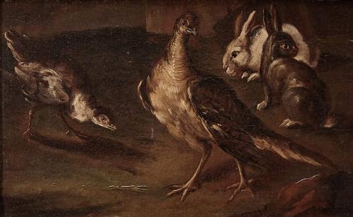 Angelo Maria Crivelli (1672-1730), Partridges and Hares