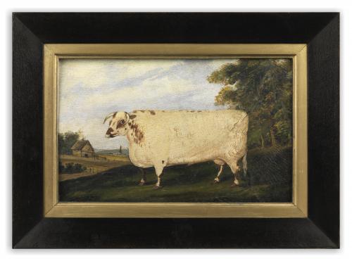 A Fine Naive School "Squareback" Livestock Portrait