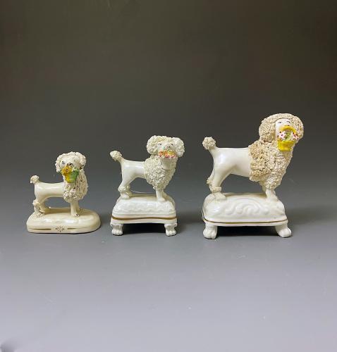 A trio of poodles made in Staffordshire in the circa 1840 period