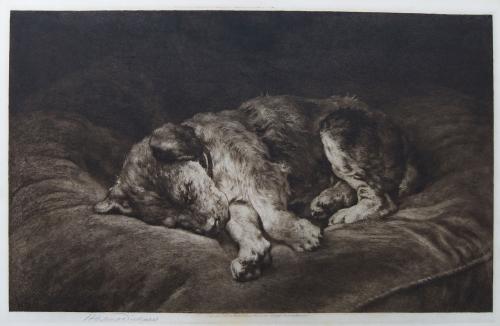 Herbert Dicksee dog etching