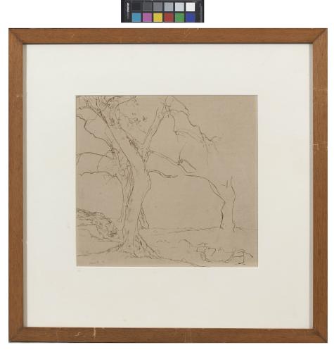Albert Daniel Rutherston (Rothenstein) (1881-1953). Pen and Sepia Ink Study of Trees