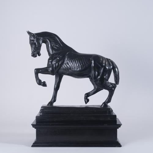 Imposing 19th Century Sculpture of a Skinned Horse