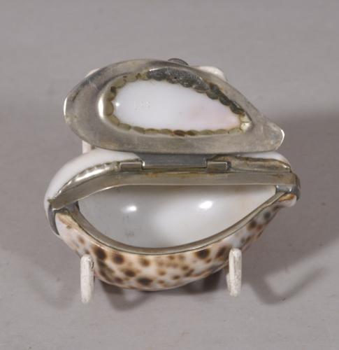 S/5539 Antique Early 19th Century Cowrie Shell Snuff Box