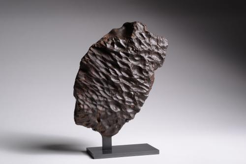 Exceptional Oriented Meteorite