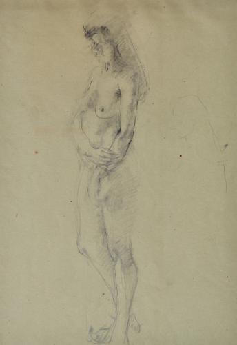 Carolyn Sergeant - Standing Nude - 20th Century British Drawing