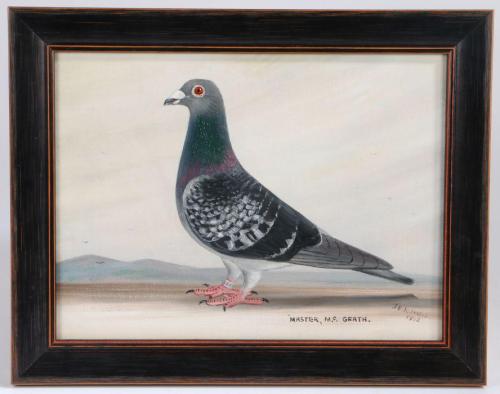 The Bird Depicted in Profile with Detailed Markings Oils on Canvas English, signed and Dated "J Browne 1923"