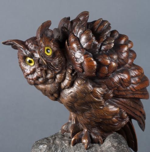 Scops Owl by Franz Bergmann