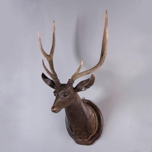 Life-Sized Black Forest Stag's Head