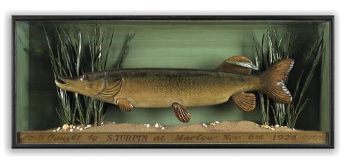Folk Art Pike Fishing Trophy Diorama