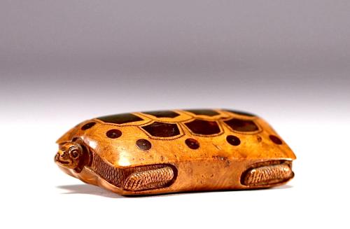 19th Century Turtle Snuff Box