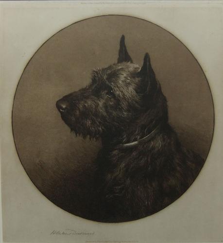 Herbert Dicksee "Who Goes There....? 1st state etching