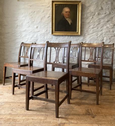 Set of six Welsh oak chairs