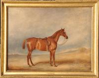 Claude Lorraine Ferneley, A Saddled Chestnut Hunter