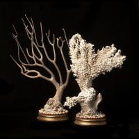 Two Victorian Coral Specimens