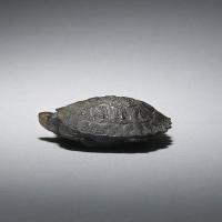 Dark wood netsuke of a turtle 