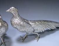 Pair of Spanish Silver Pheasants
